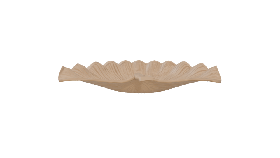 Elegant Decorative Shell Model - Professional 3D Model Render 5