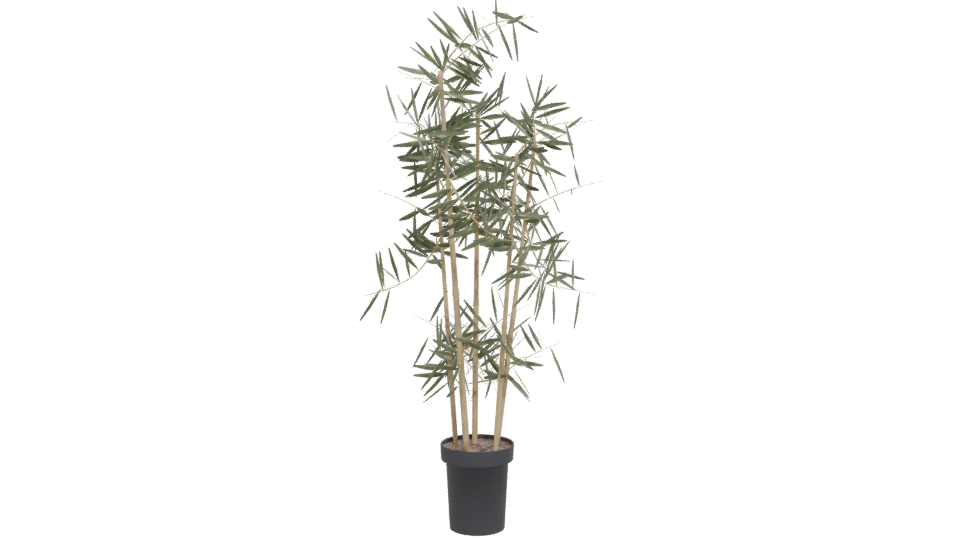 Artificial Bamboo Plant 3D Model - Professional 3D Model Render 12