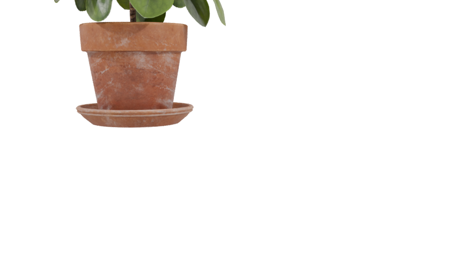 Realistic Potted Plant 3D Model - Professional 3D Model Render 3