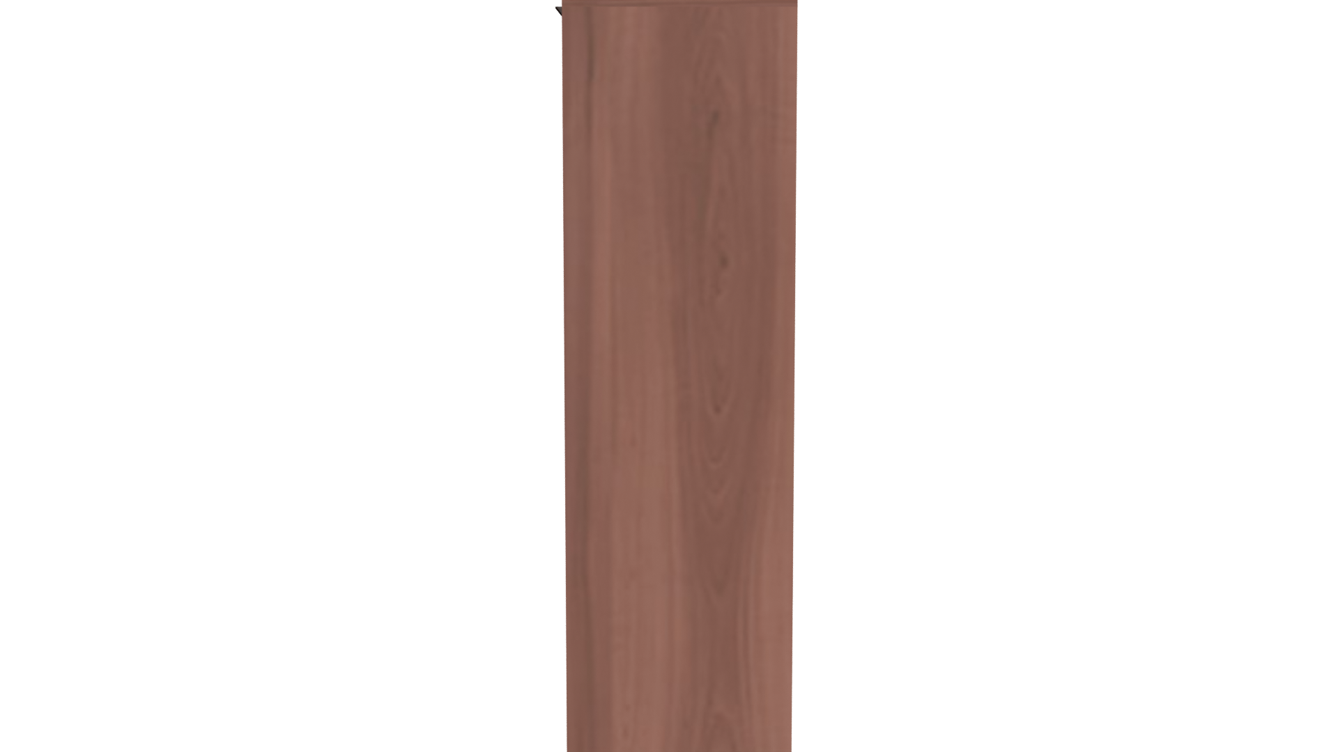 Elegant Wooden Wardrobe 3D Model - Professional 3D Model Render 2