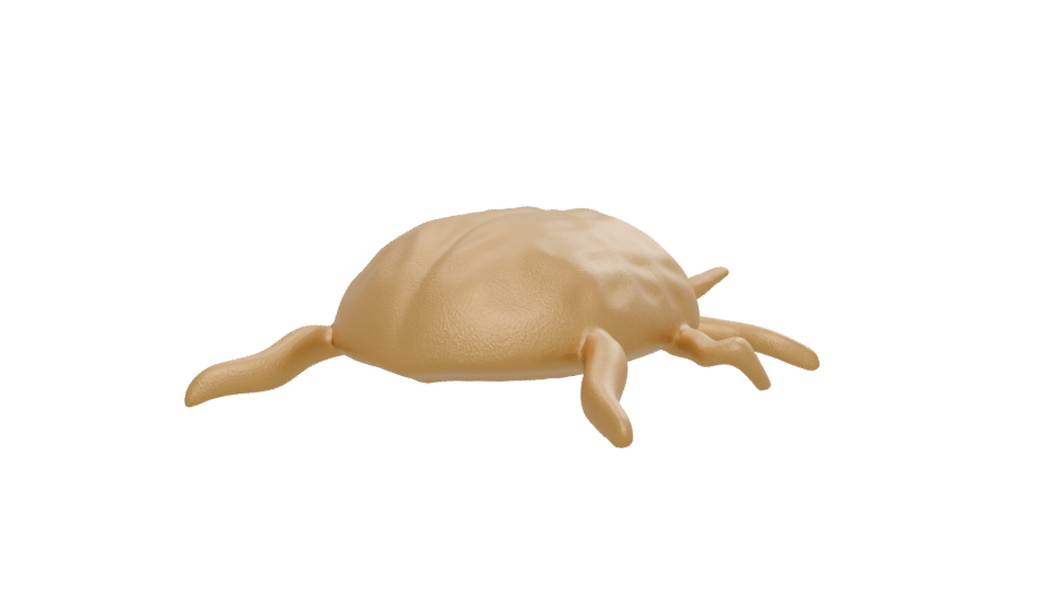 Stylized Golden Turtle 3D Model - Professional 3D Model Render 12
