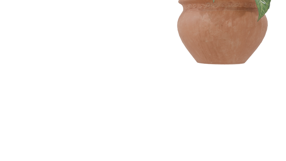 Decorative Potted Plant 3D Model - Professional 3D Model Render 8