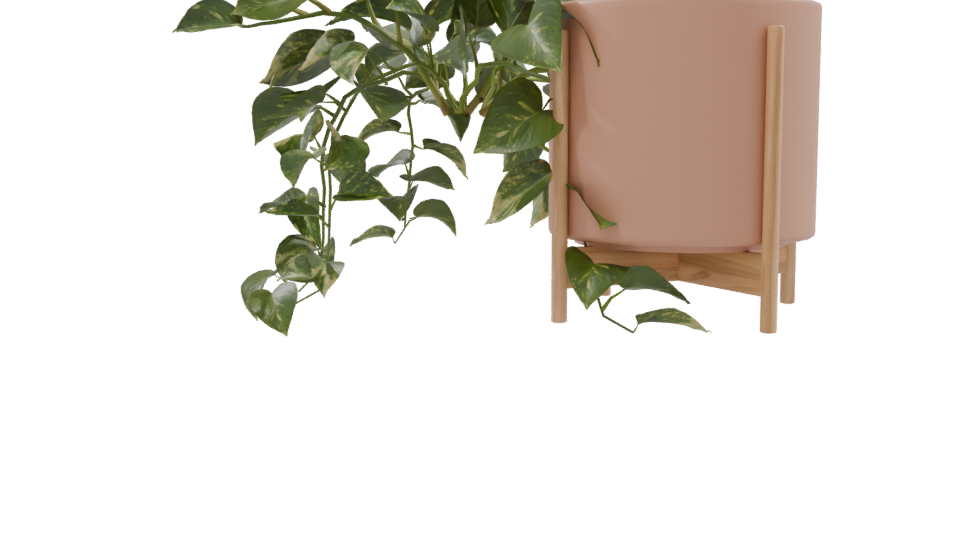 Pothos Plant in Pot 3D Model - Professional 3D Model Render 9