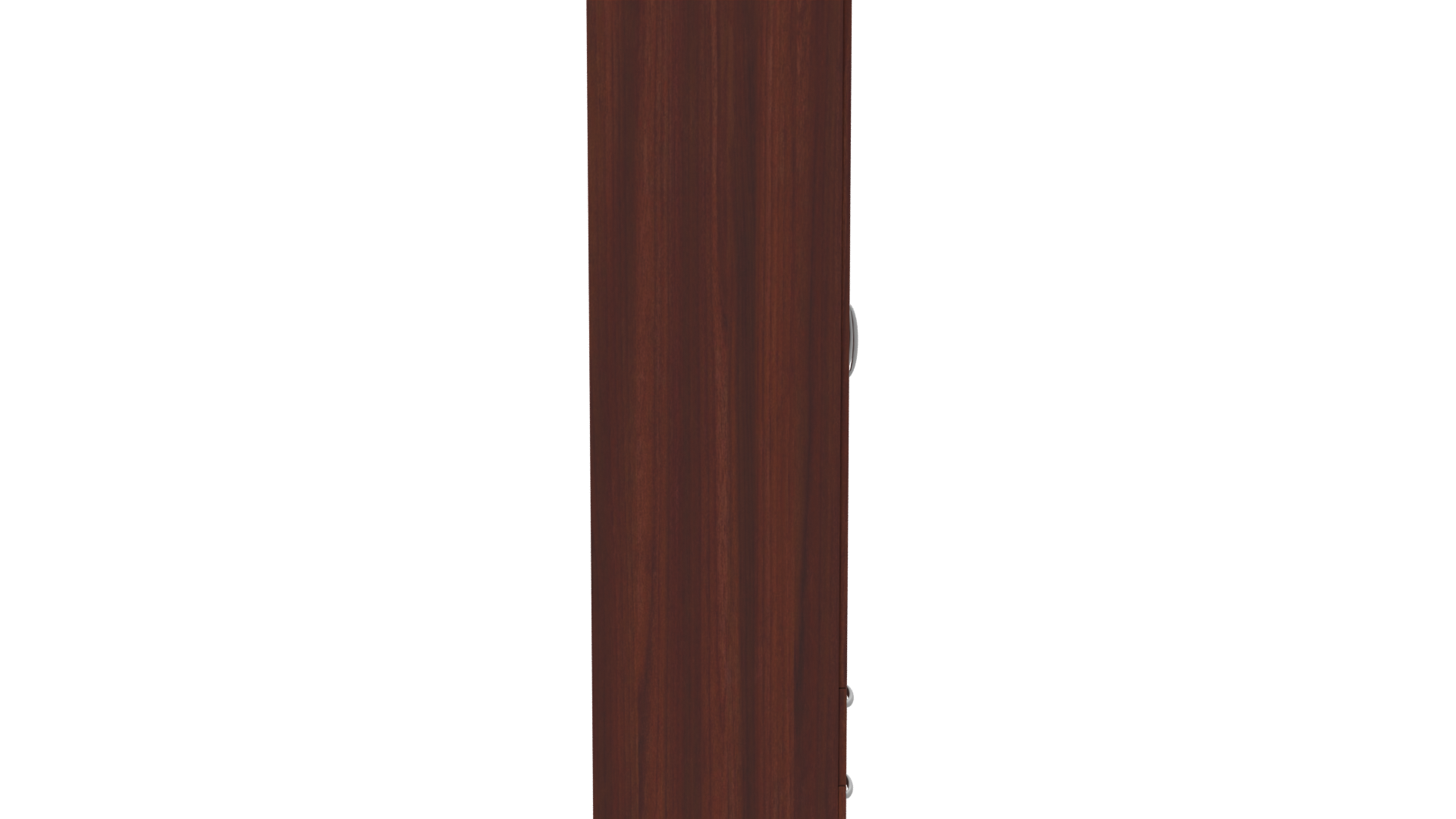 Elegant Wooden Wardrobe 3D Model - Professional 3D Model Render 8