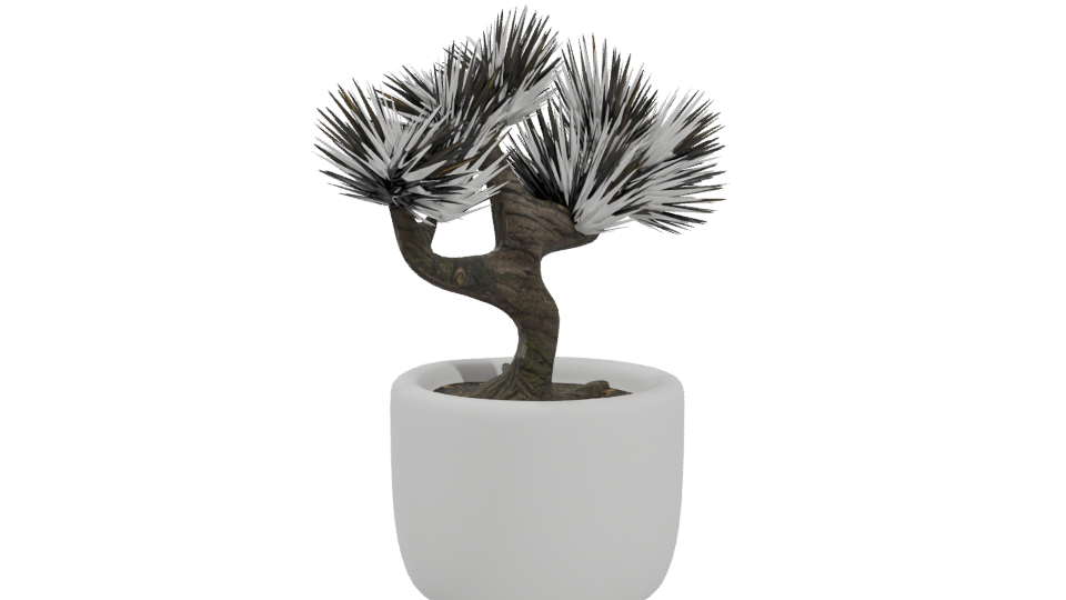 Stylized Bonsai Tree Model 3D - Professional 3D Model Render 4
