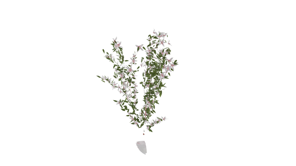 Realistic Flowering Plant 3D Model - Professional 3D Model Render 10