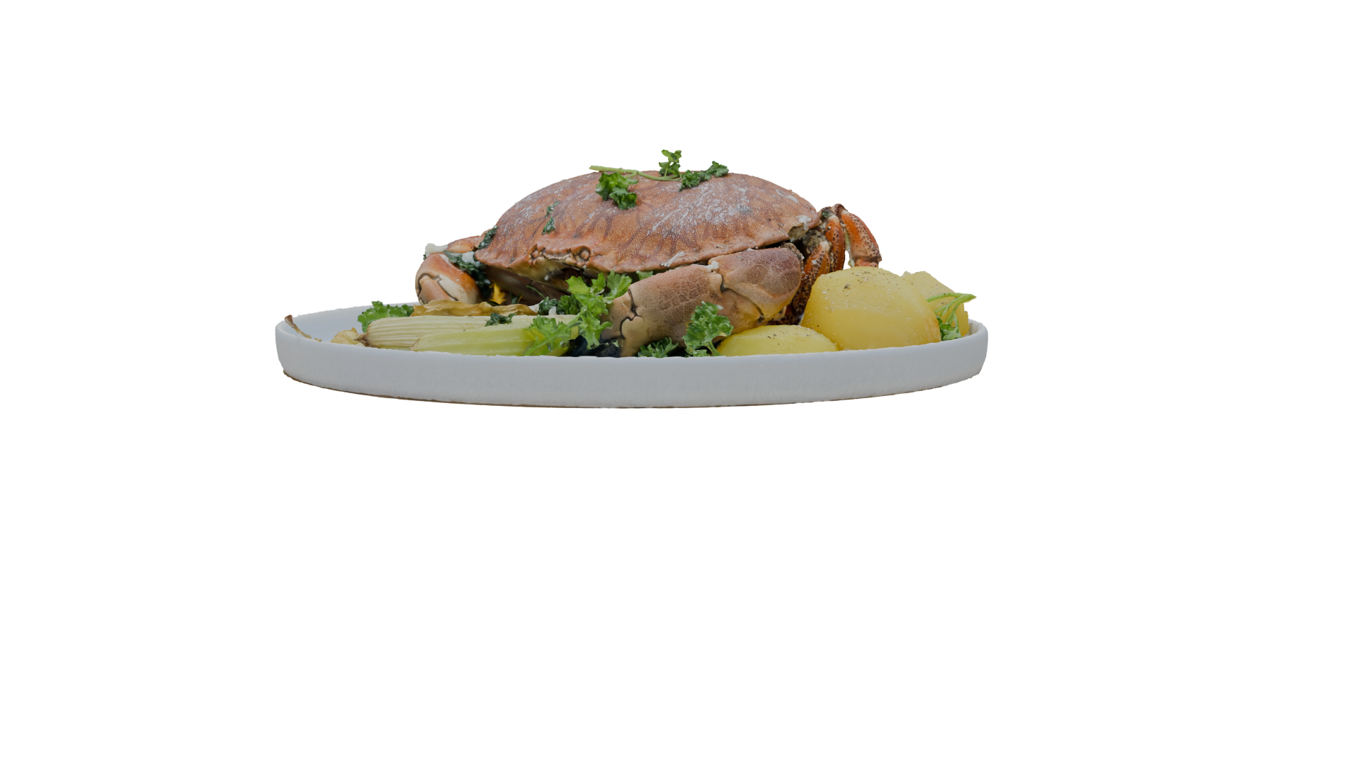 Realistic Crab Dish 3D Model - Professional 3D Model Render 16