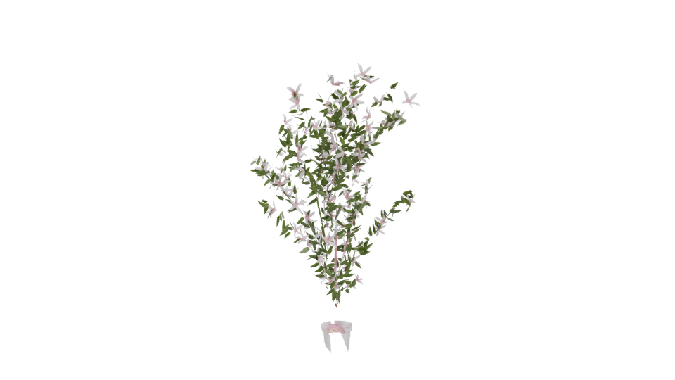 Realistic Flowering Plant 3D Model - Professional 3D Model Render 12