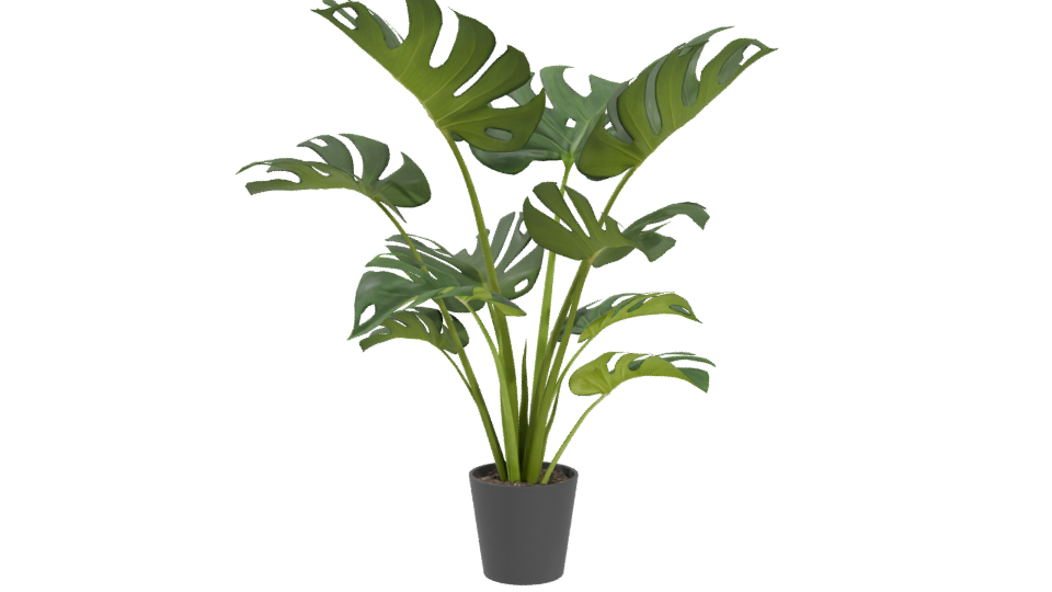 Stylized Indoor Plant Model 3D - Professional 3D Model Render 4