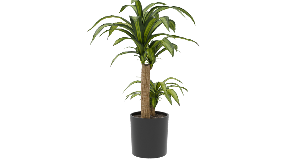 Stylish Indoor Plant Model 3D - Professional 3D Model Render 9