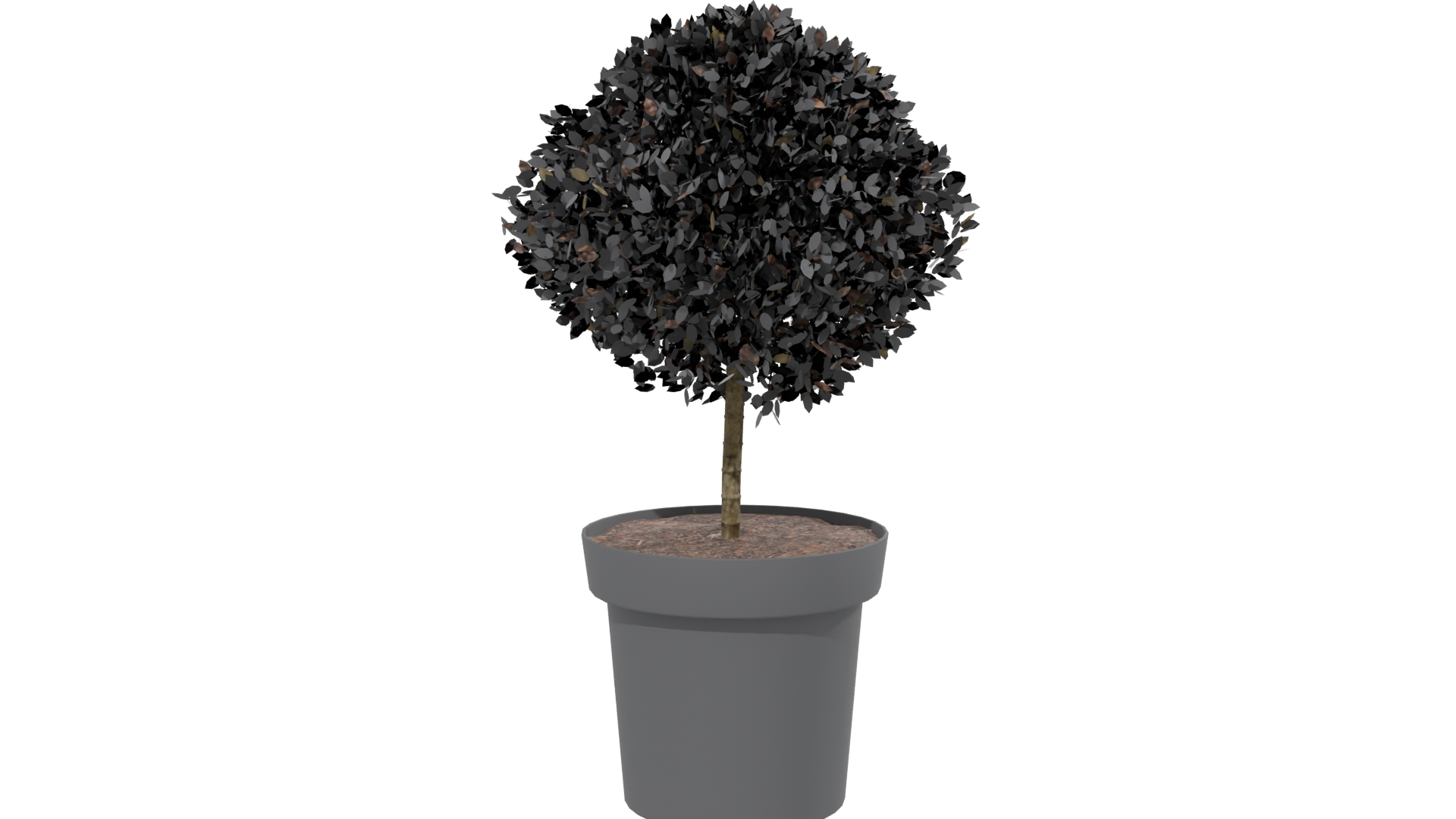Stylized Potted Topiary Plant - Professional 3D Model Render 13