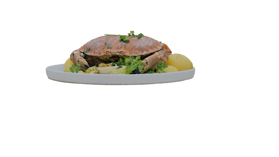 Realistic Crab Dish 3D Model - Professional 3D Model Render 3
