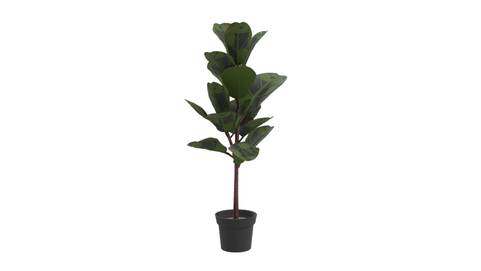 Realistic Indoor Plant Model - Professional 3D Model Render 10