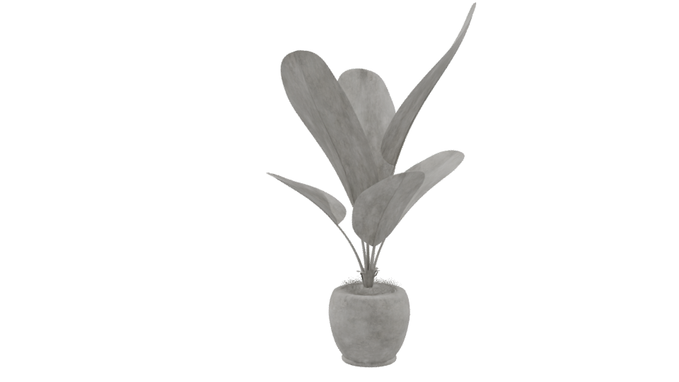 Stylish Potted Plant 3D Model - Professional 3D Model Render 9