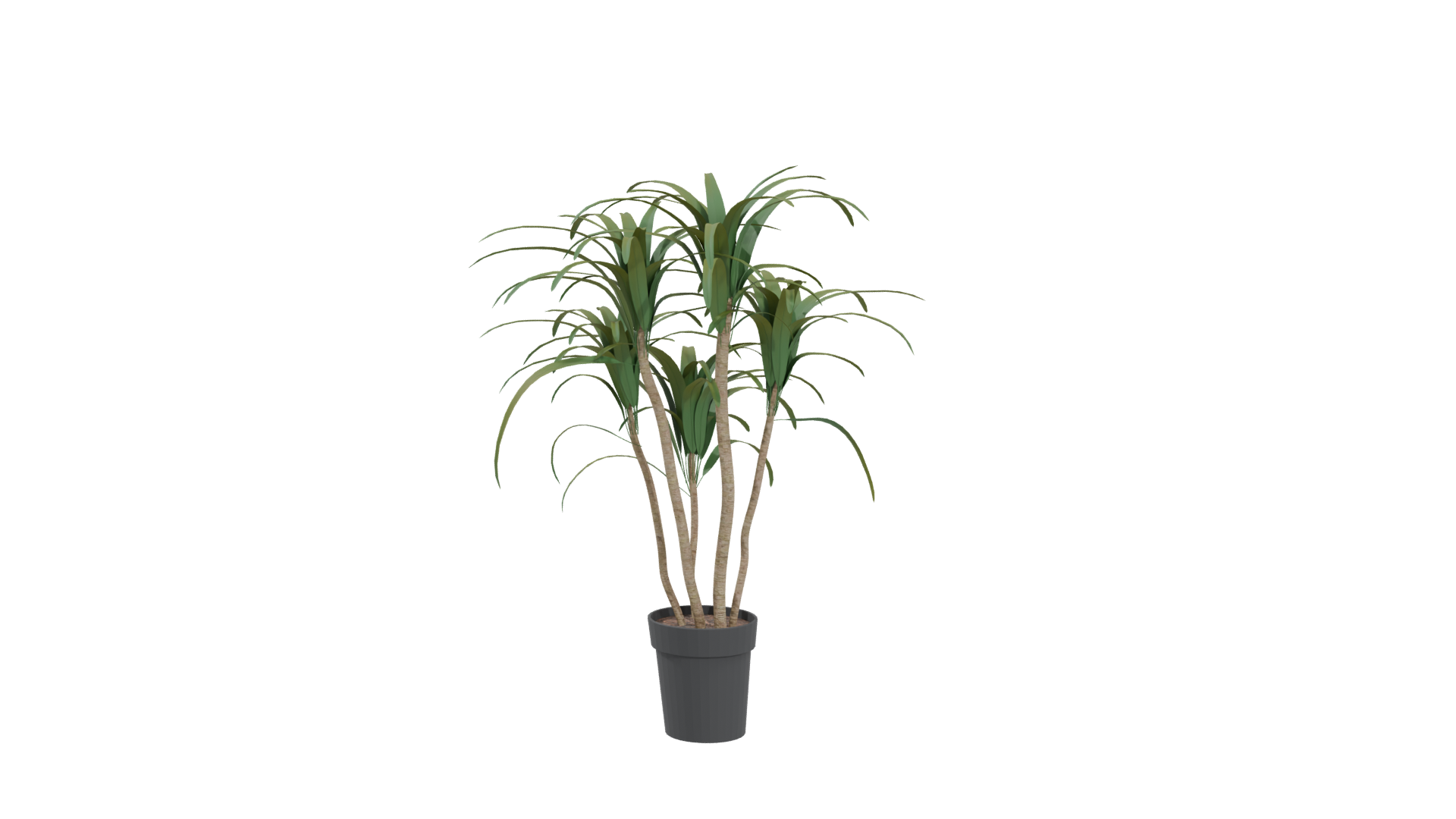 Stylized Potted Plant Model - Professional 3D Model Render 4
