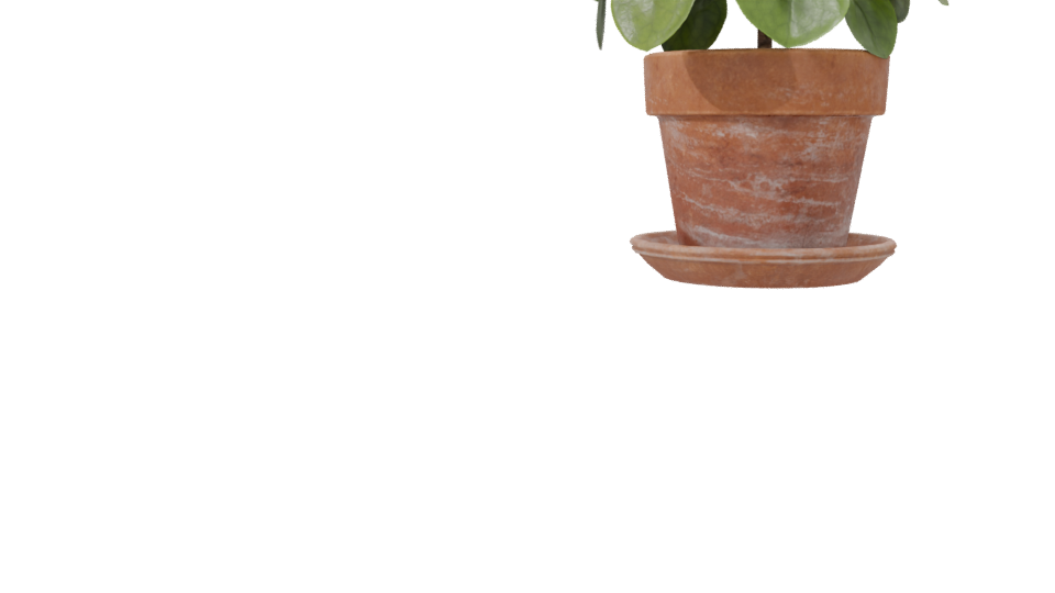 Realistic Potted Plant 3D Model - Professional 3D Model Render 7