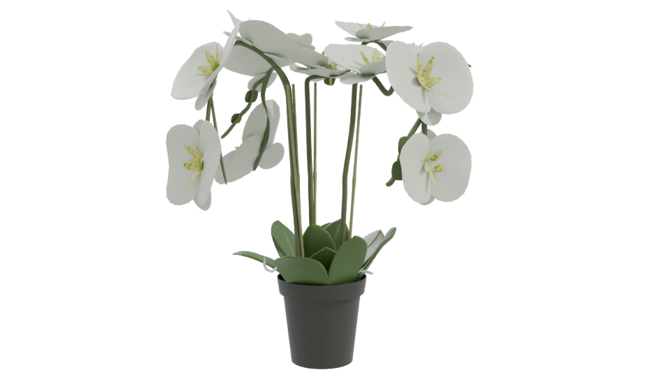 Elegant Orchid Plant 3D Model - Professional 3D Model Render 10