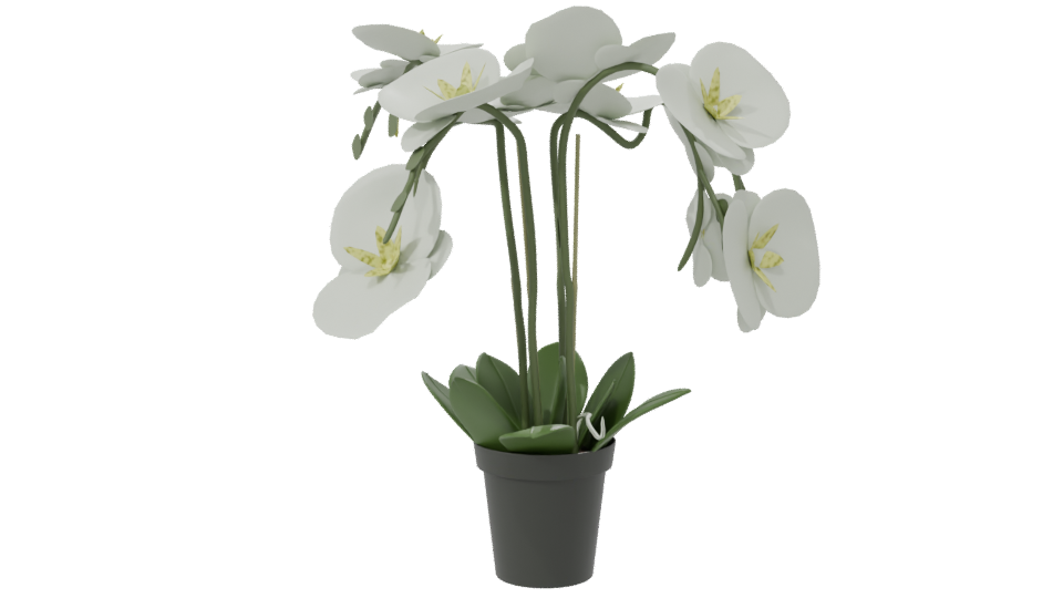 Elegant Orchid Plant 3D Model - Professional 3D Model Render 7