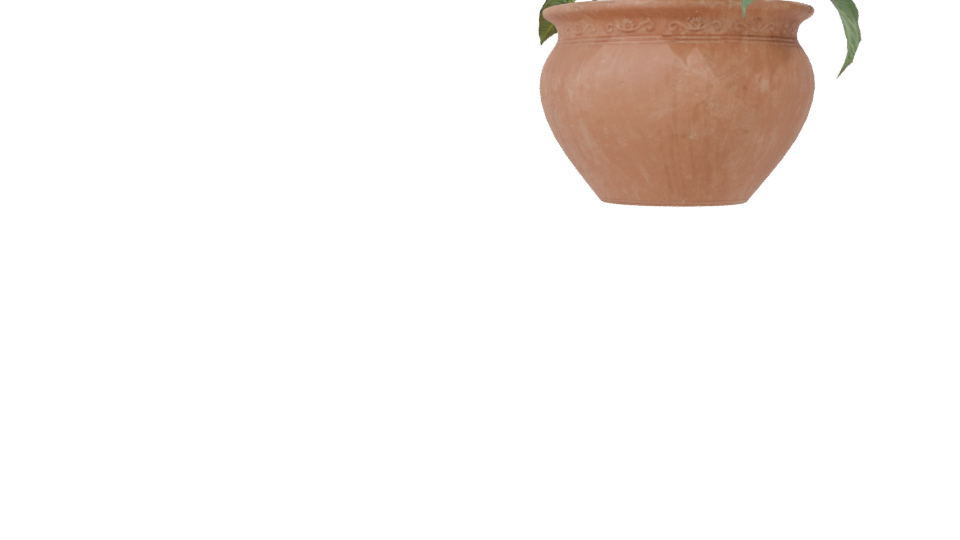 Decorative Potted Plant 3D Model - Professional 3D Model Render 7