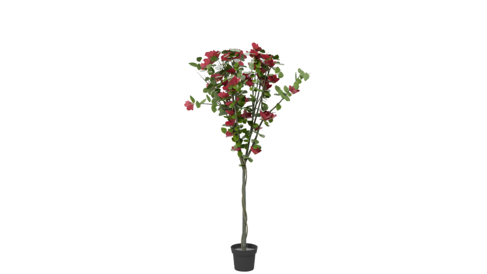Lifelike Floral Decoration Model - Professional 3D Model Render 6