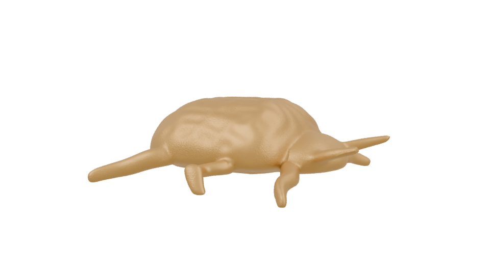 Stylized Golden Turtle 3D Model - Professional 3D Model Render 3