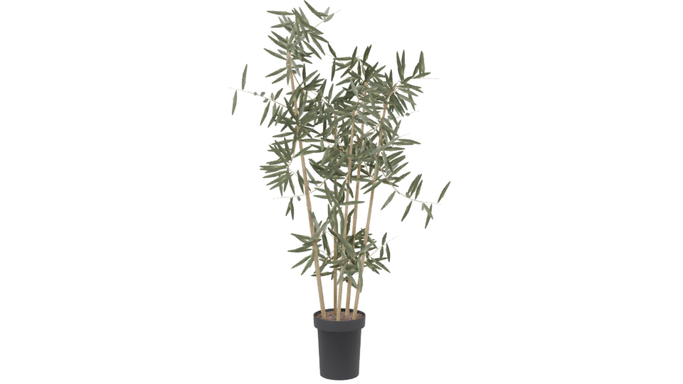 Artificial Bamboo Plant 3D Model - Professional 3D Model Render 2
