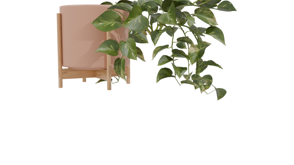 Pothos Plant in Pot 3D Model - Professional 3D Model Render 3