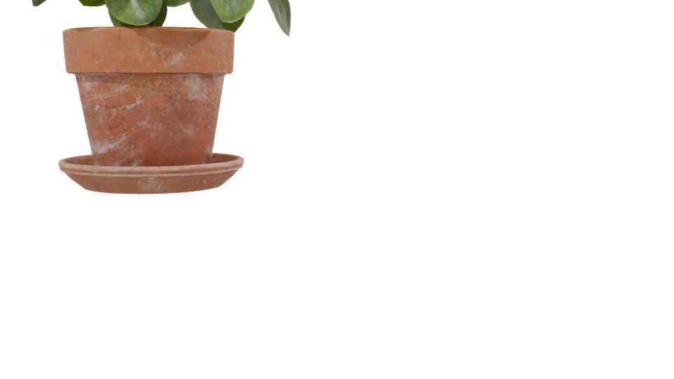 Realistic Potted Plant 3D Model - Professional 3D Model Render 2