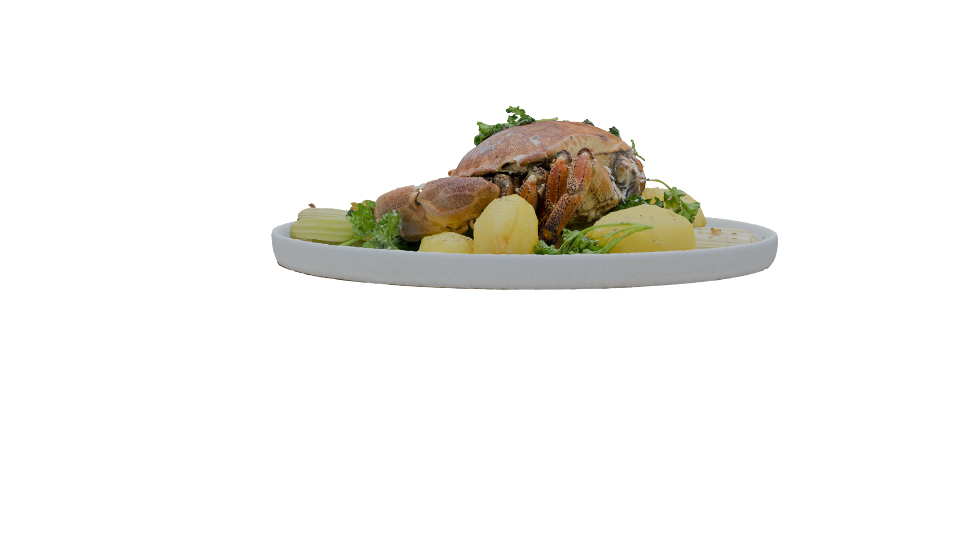 Realistic Crab Dish 3D Model - Professional 3D Model Render 18