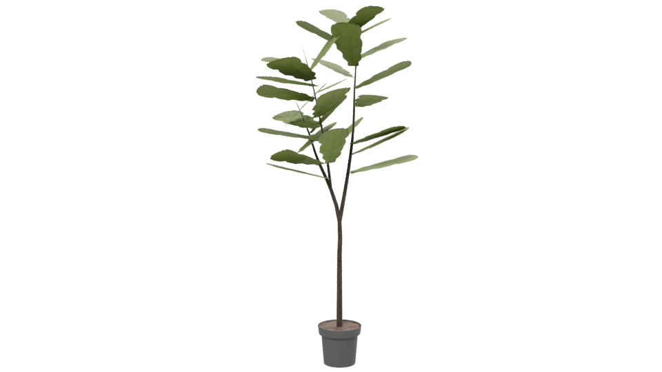 Stylized Indoor Plant 3D Model for Home Decor - Professional 3D Model Render 13