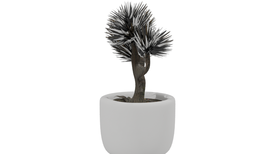 Stylized Bonsai Tree Model 3D - Professional 3D Model Render 2