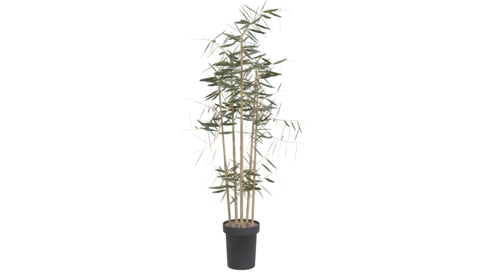 Artificial Bamboo Plant 3D Model - Professional 3D Model Render 11