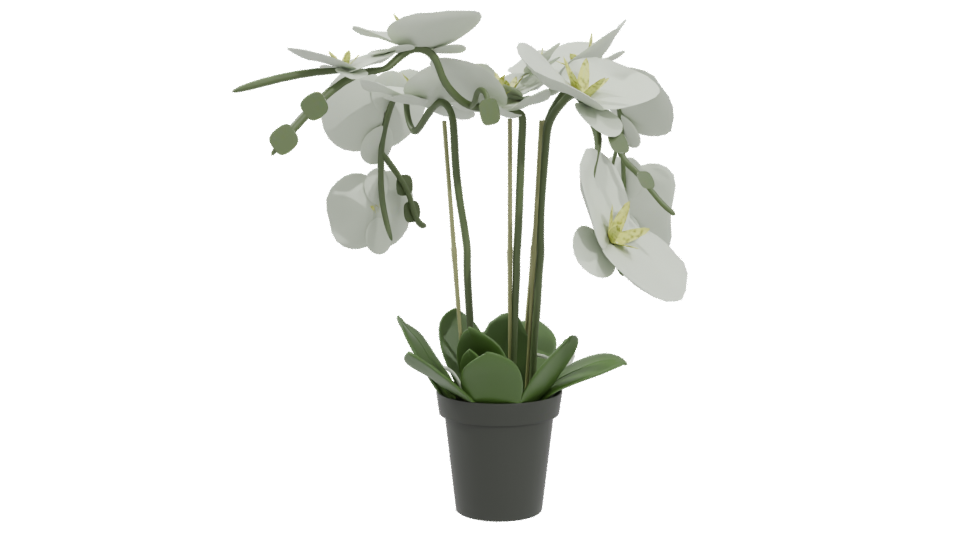 Elegant Orchid Plant 3D Model - Professional 3D Model Render 4