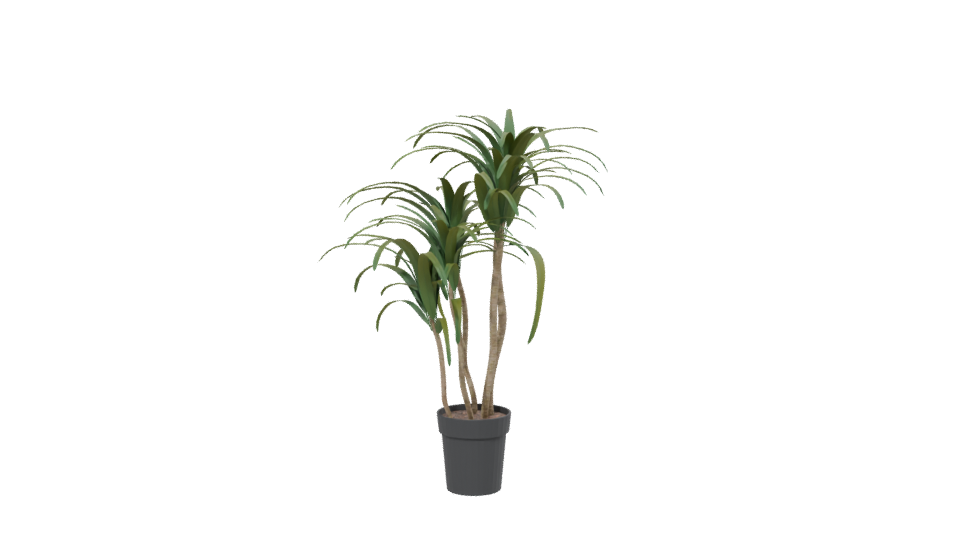 Stylized Pot Plant 3D Model - Professional 3D Model Render 13