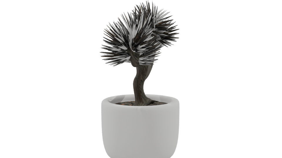 Stylized Bonsai Tree Model 3D - Professional 3D Model Render 9