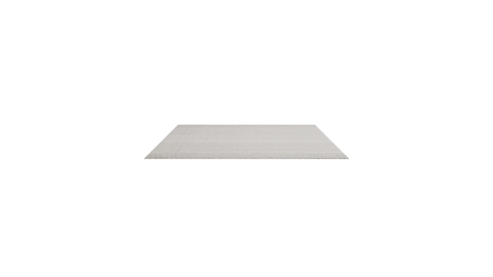 Minimalist Rectangular Area Rug 3D - Professional 3D Model Render 2