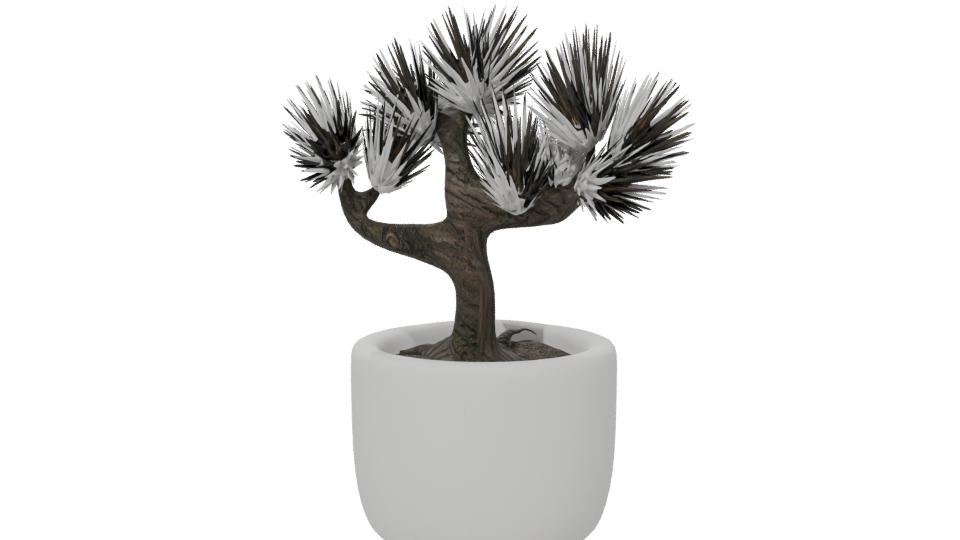 Stylized Bonsai Tree Model 3D - Professional 3D Model Render 6