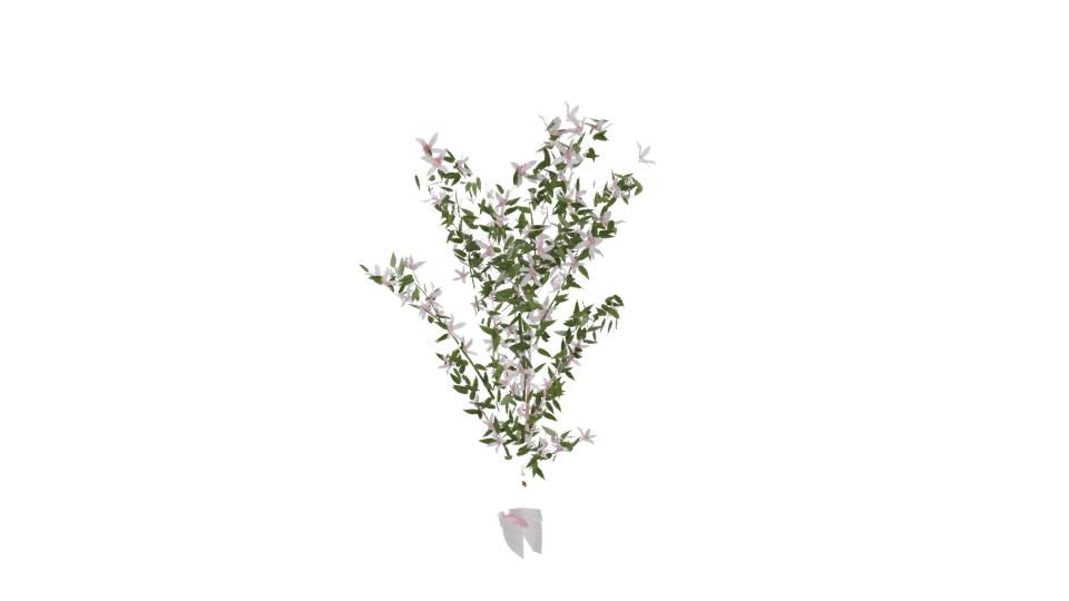 Realistic Flowering Plant 3D Model - Professional 3D Model Render 11