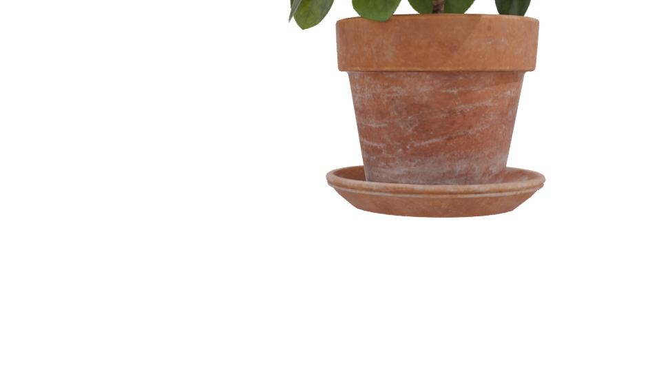 Realistic Potted Plant 3D Model - Professional 3D Model Render 10