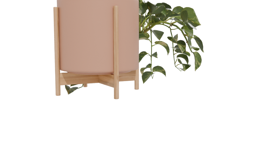 Pothos Plant in Pot 3D Model - Professional 3D Model Render 12