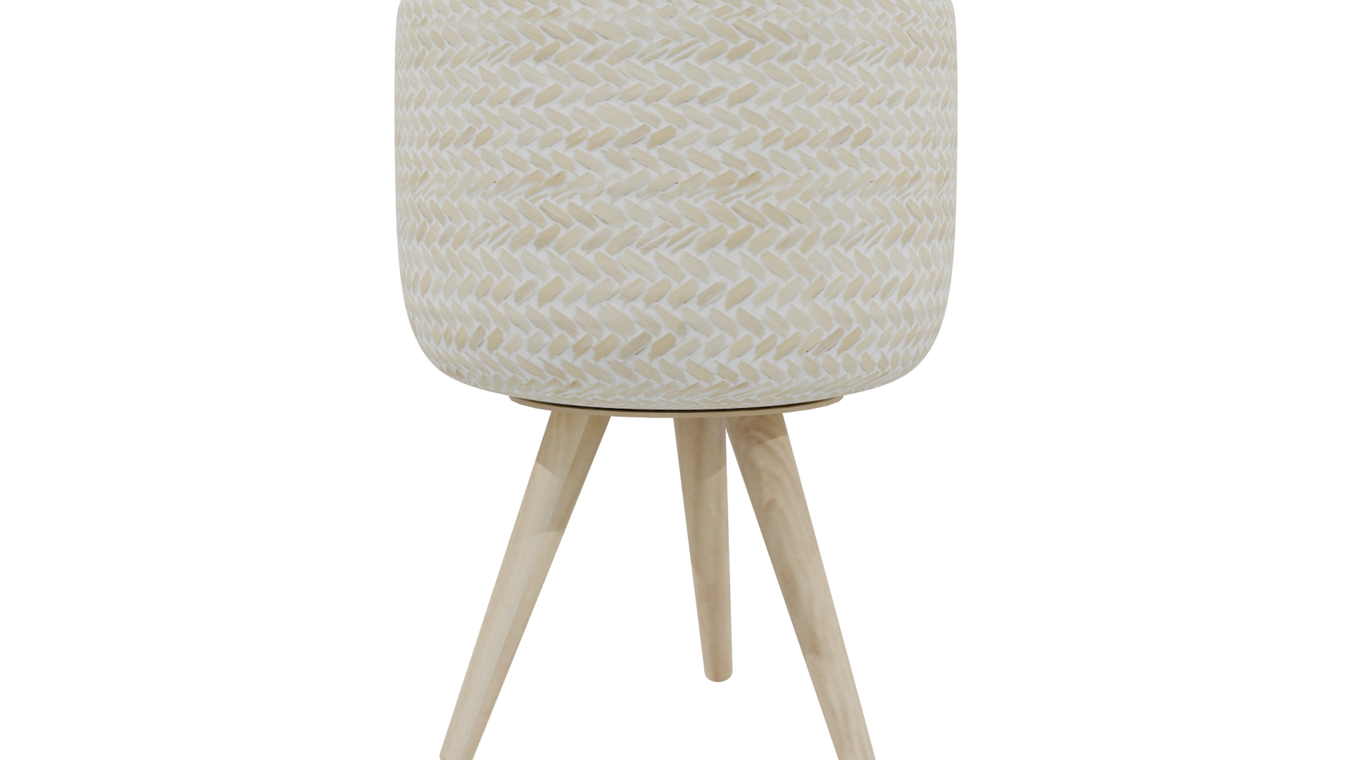 Stylish Indoor Plant Pot 3D - Professional 3D Model Render 3