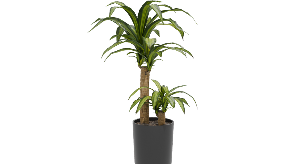 Stylish Indoor Plant Model 3D - Professional 3D Model Render 12