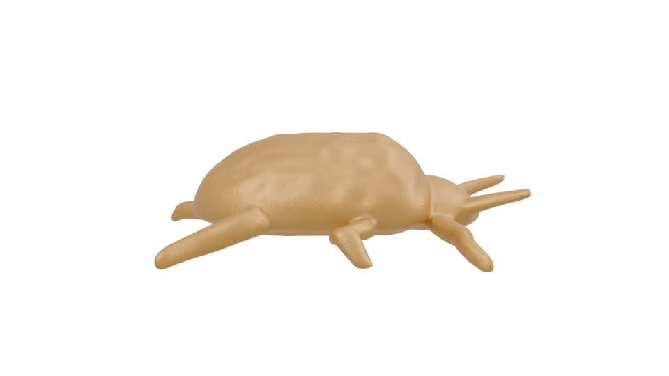 Stylized Golden Turtle 3D Model - Professional 3D Model Render 2