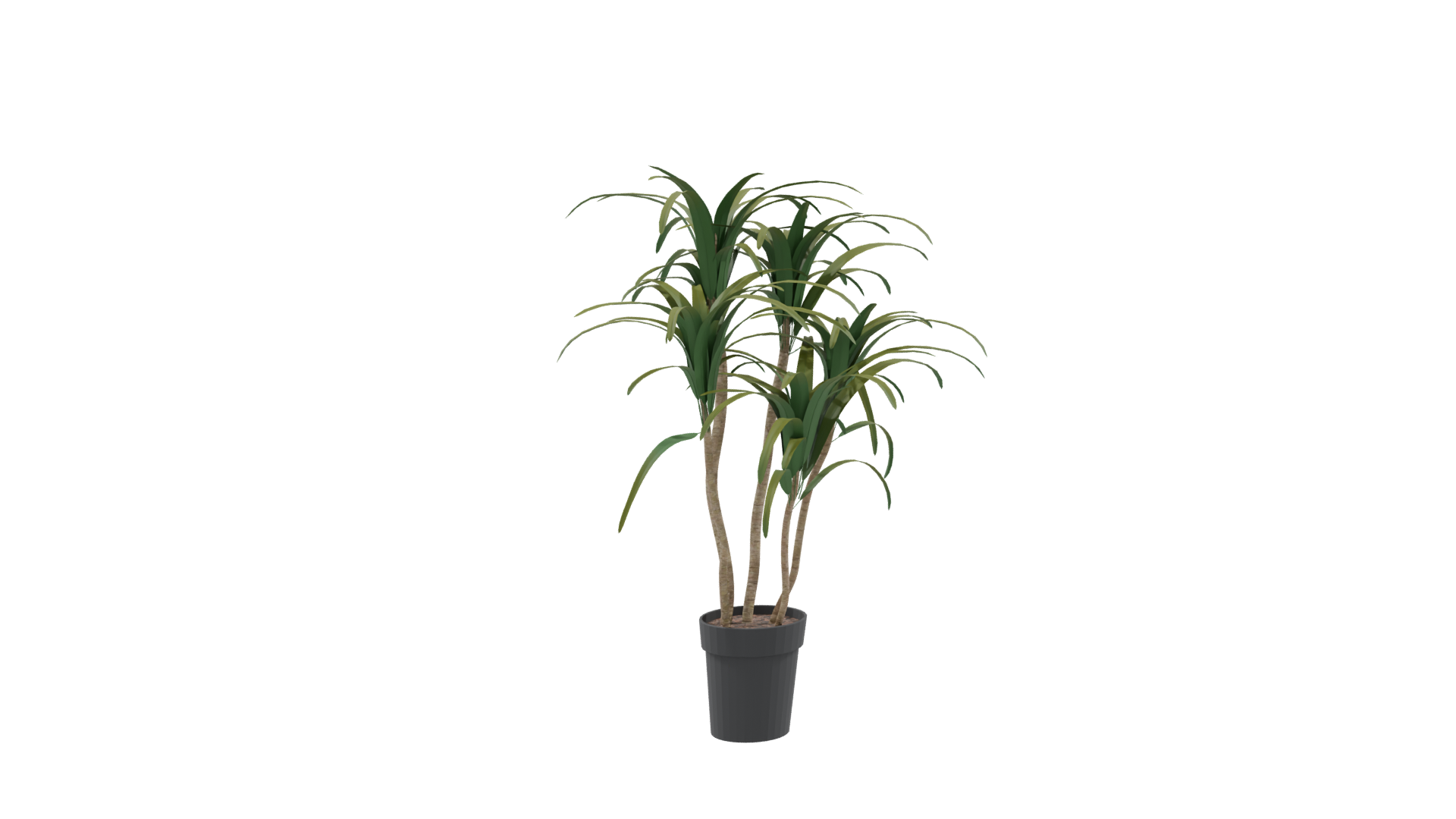 Stylized Potted Plant Model - Professional 3D Model Render 9