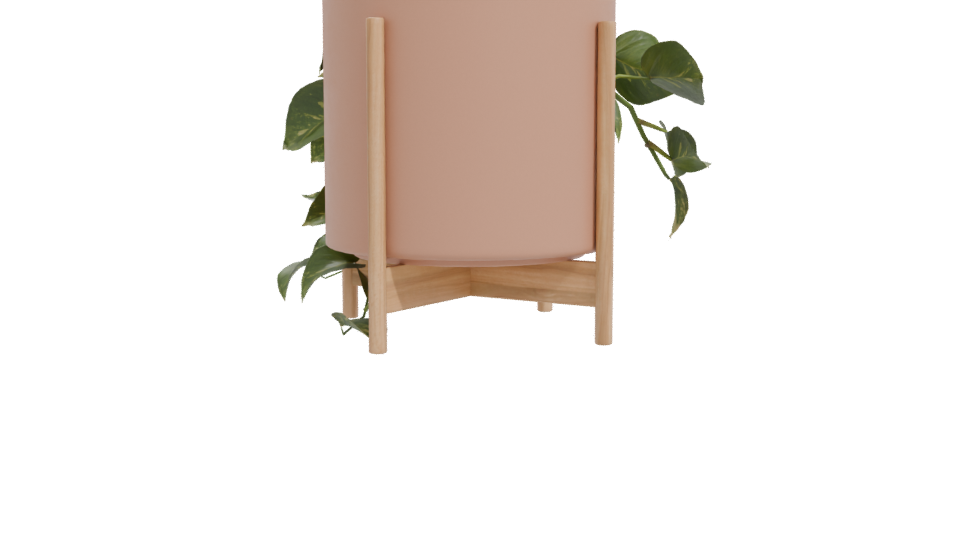 Pothos Plant in Pot 3D Model - Professional 3D Model Render 11