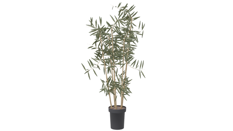 Artificial Bamboo Plant 3D Model - Professional 3D Model Render 7