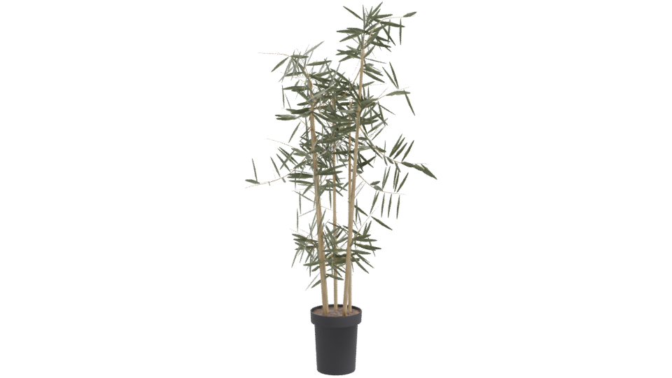 Artificial Bamboo Plant 3D Model - Professional 3D Model Render 10
