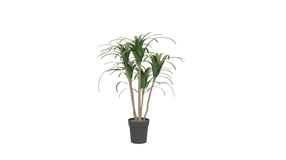 Stylized Pot Plant 3D Model - Professional 3D Model Render 5