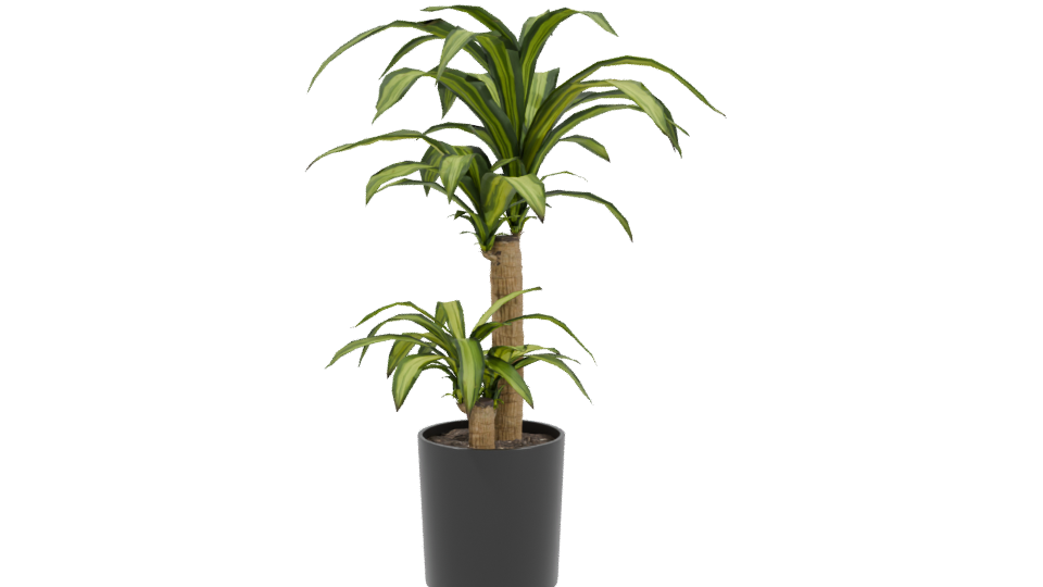 Stylish Indoor Plant Model 3D - Professional 3D Model Render 3