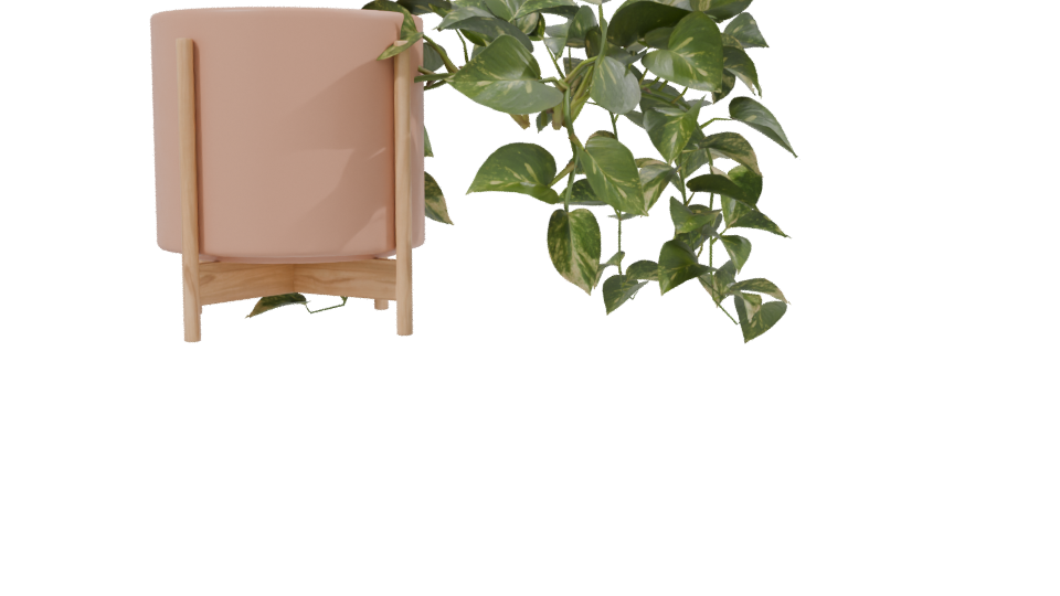 Pothos Plant in Pot 3D Model - Professional 3D Model Render 2